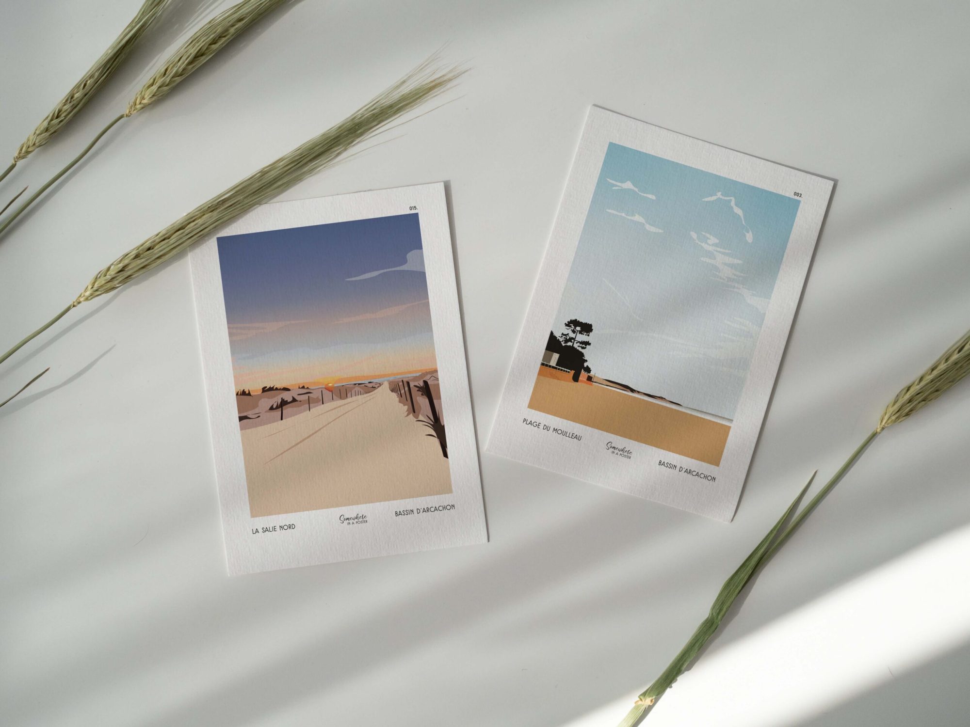 Pack x5 • Cartes postales illustrées